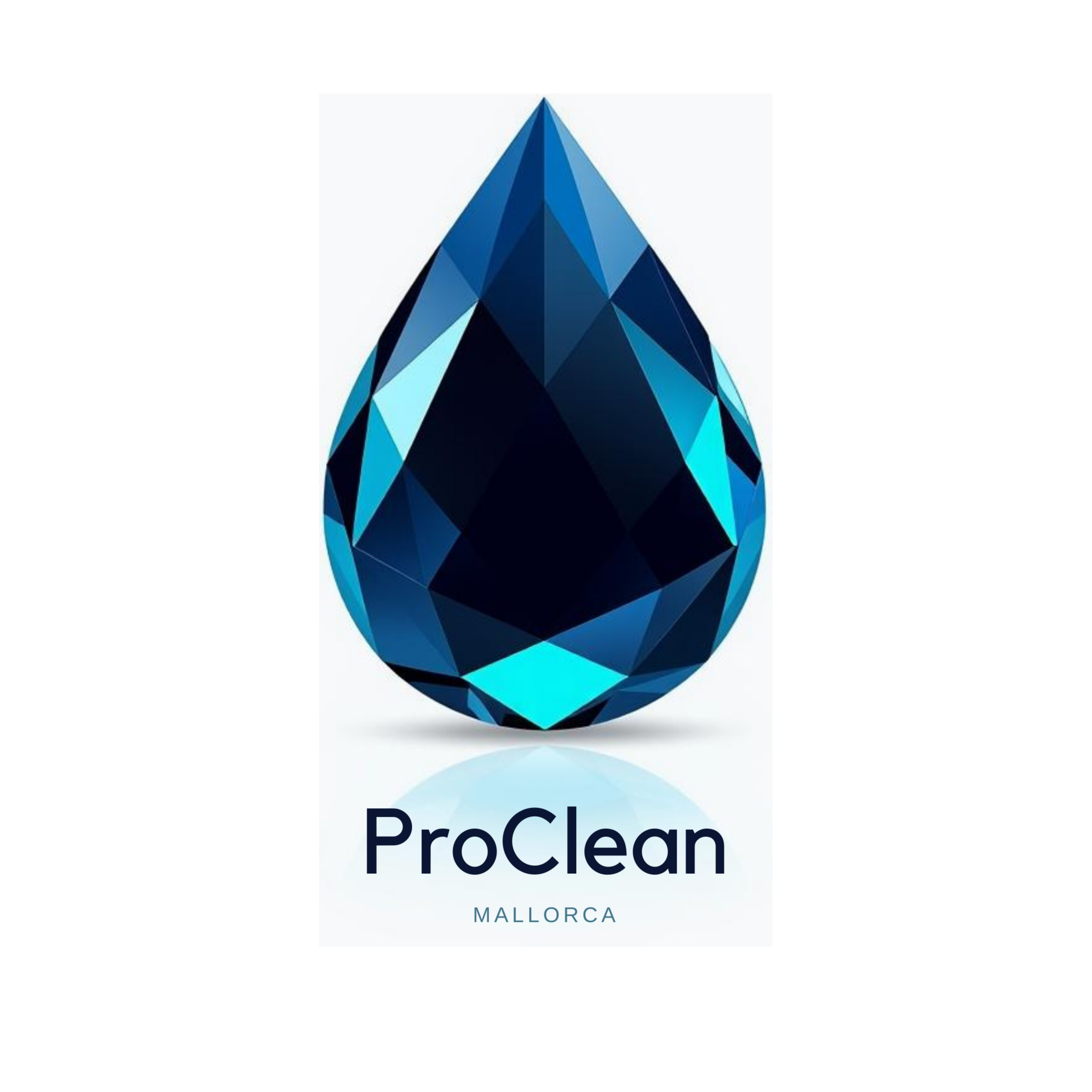 ProClean Mallorca